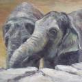 Zwei Elefanten 70x80cm