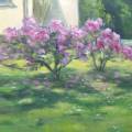 Wiese mit Rhododendron 50x70cm